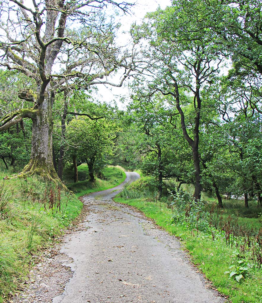 road