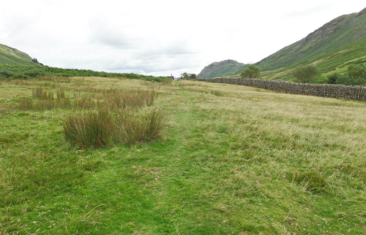 looking south