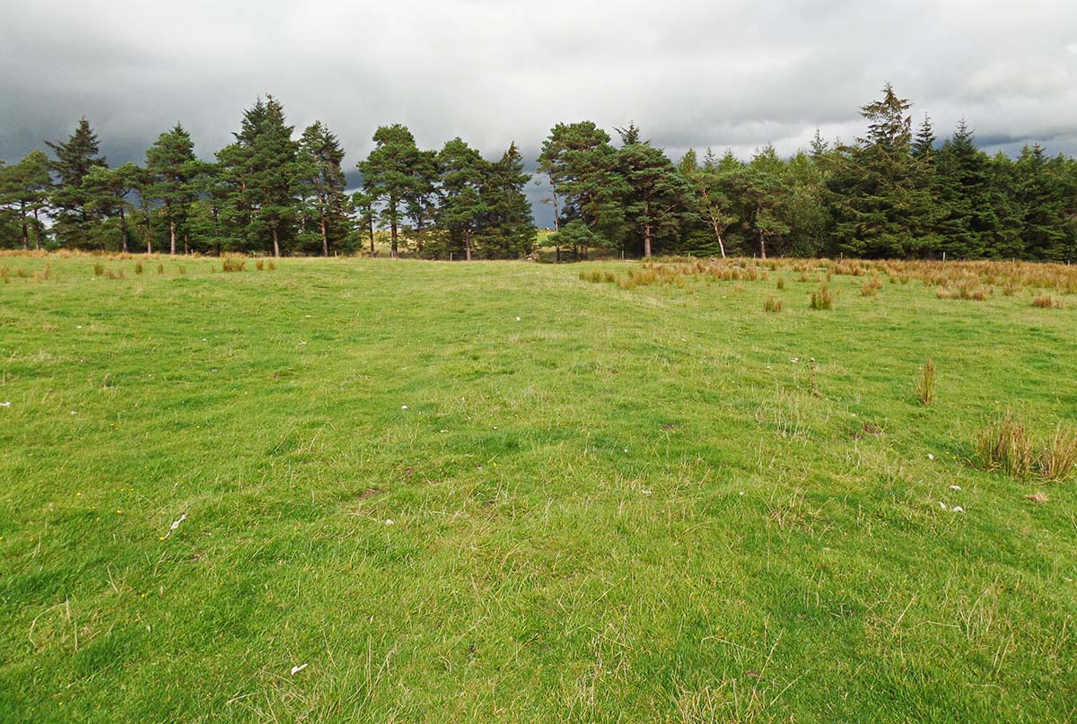 lofshawhill