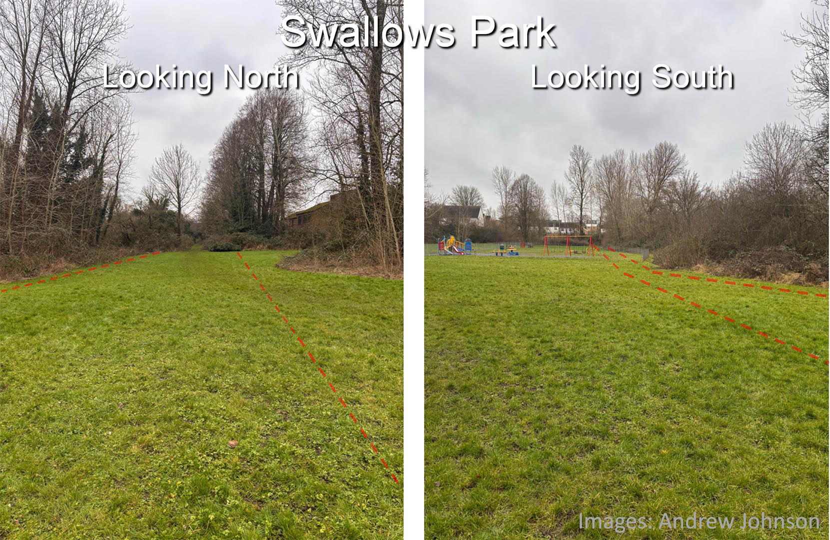 swallows park