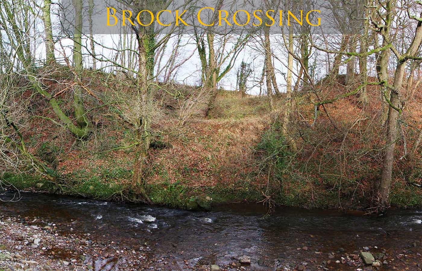 Brock crossing