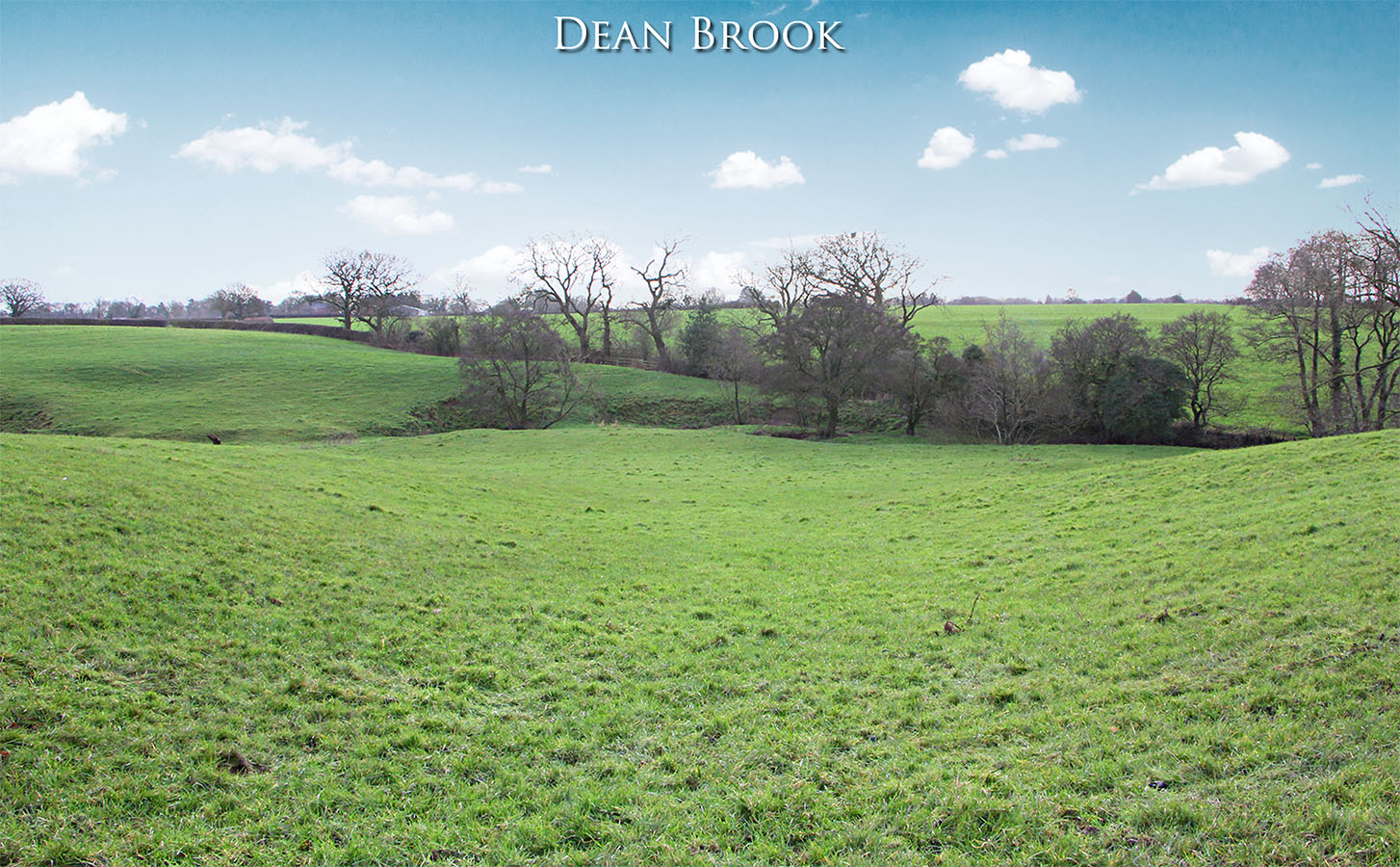 dean brook