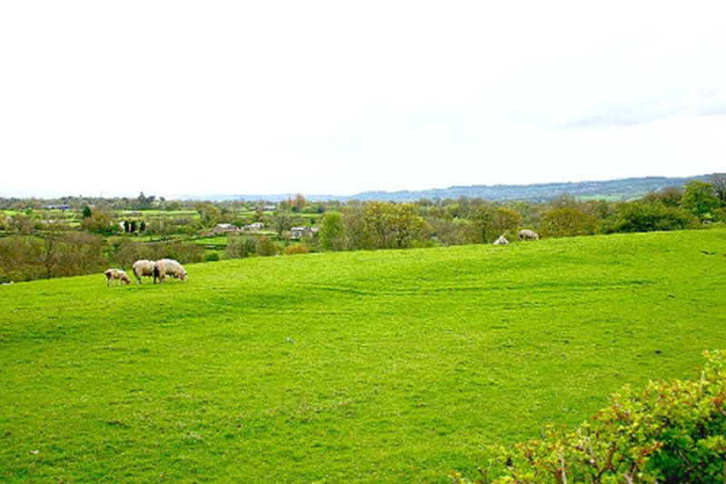 crosskeys