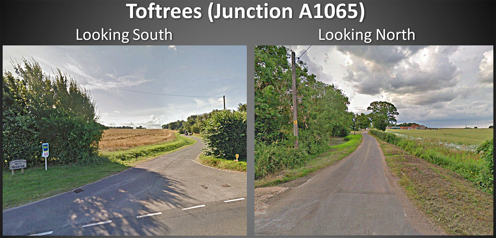 toftrees