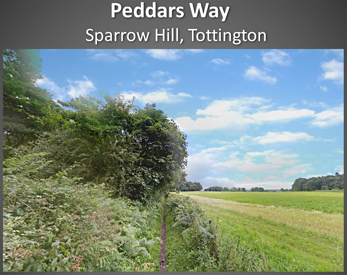 sparrow hill