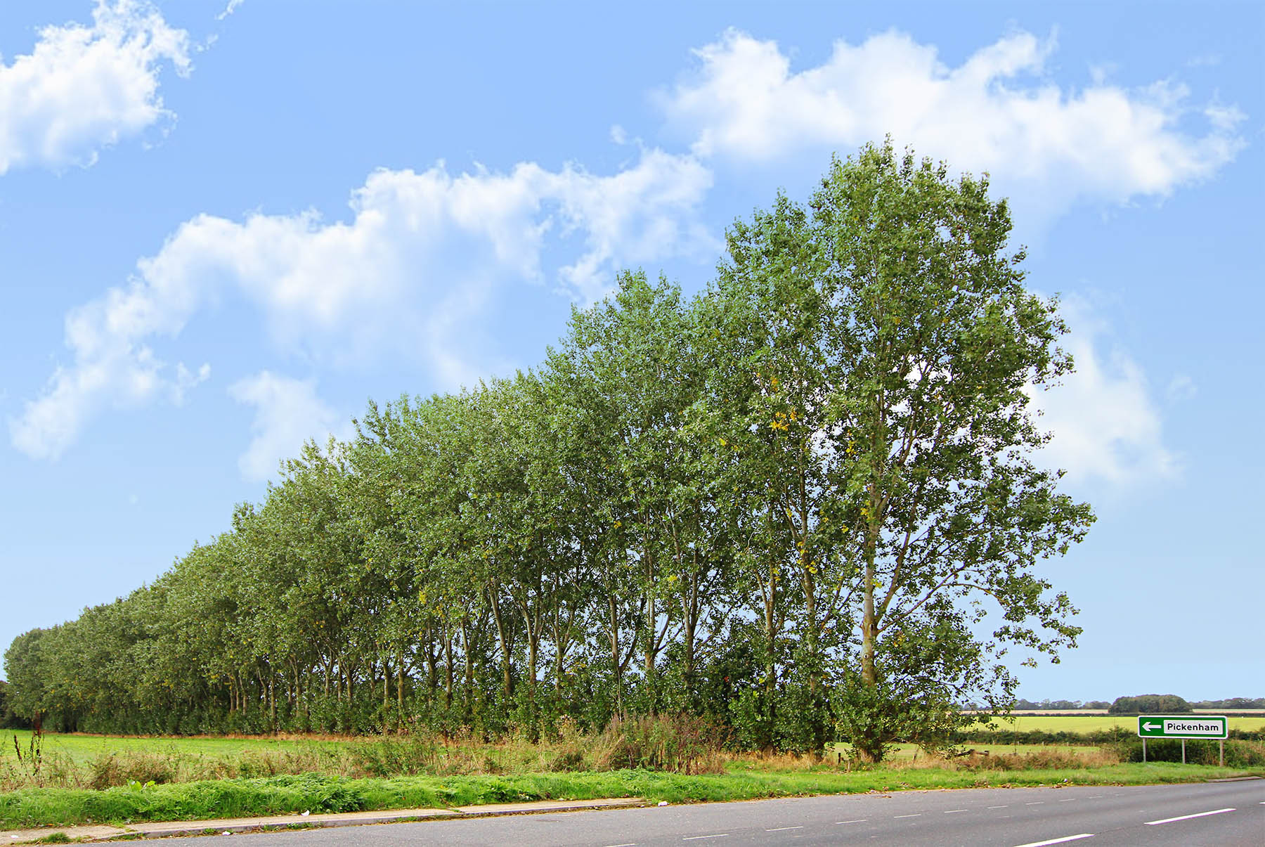 a47 crossing