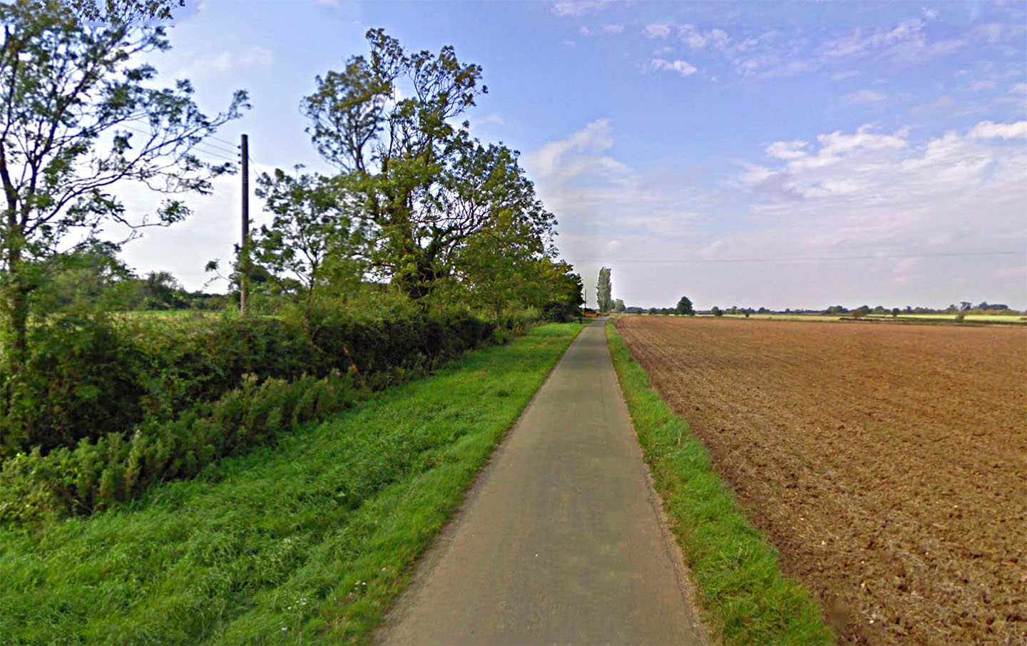 washmere green