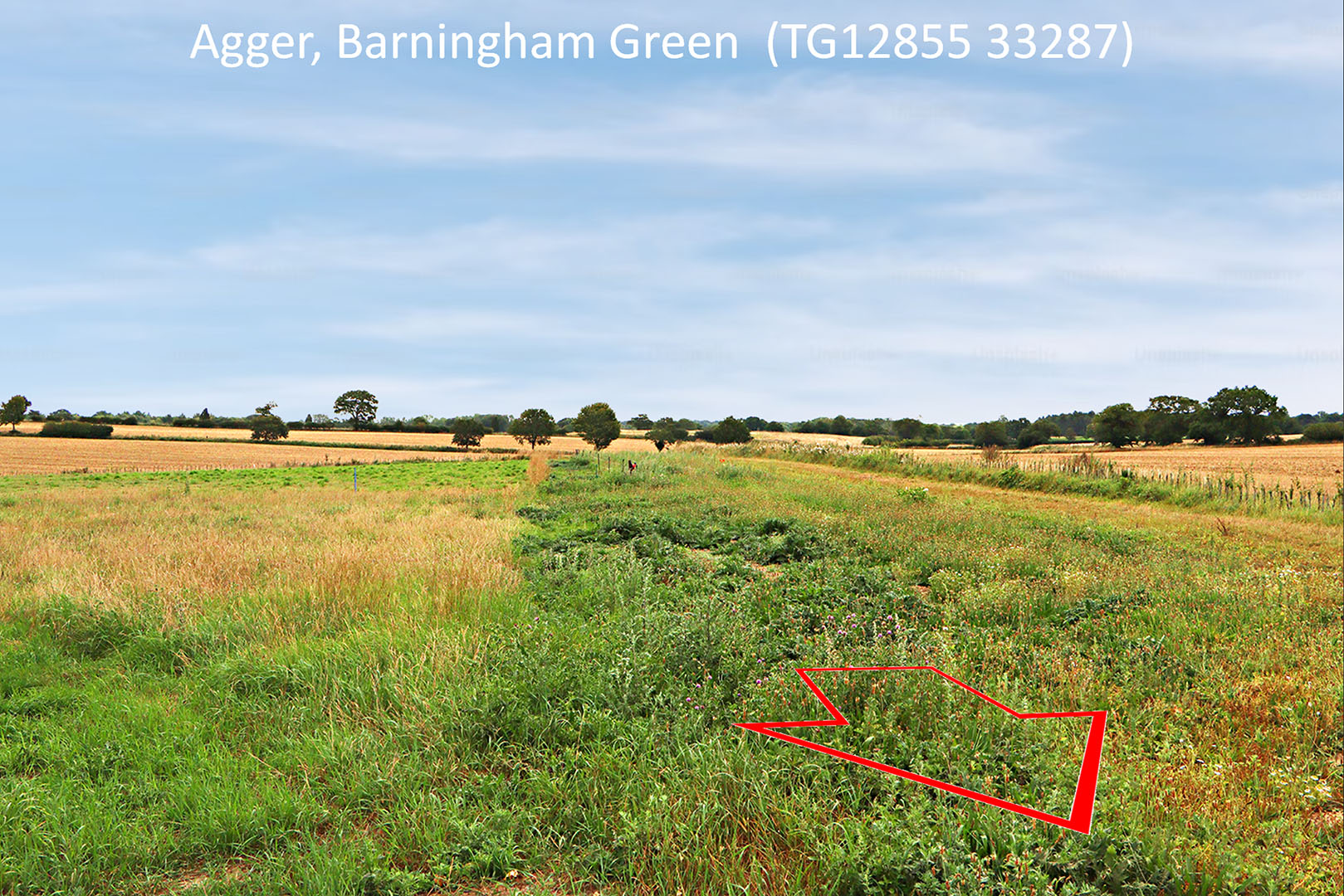 Barningham Green